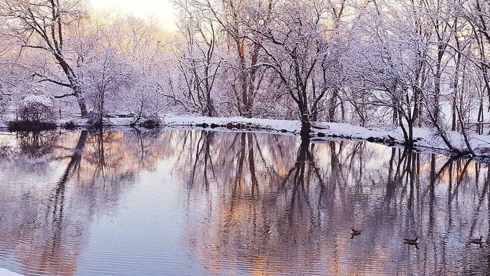 Building Photo - 1310 Hollow Rd