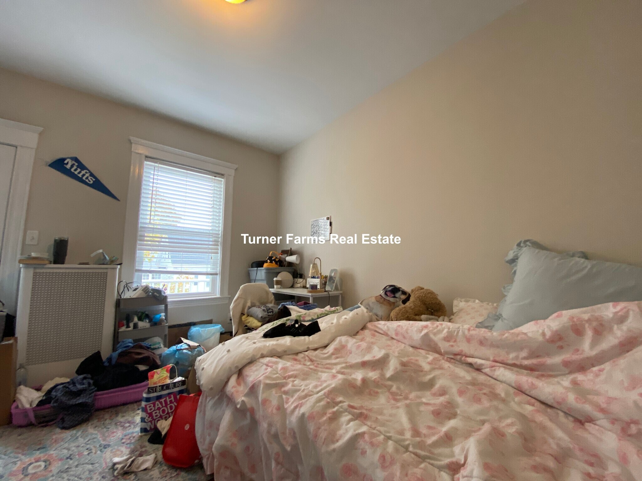 Building Photo - 6 Westminster Ave