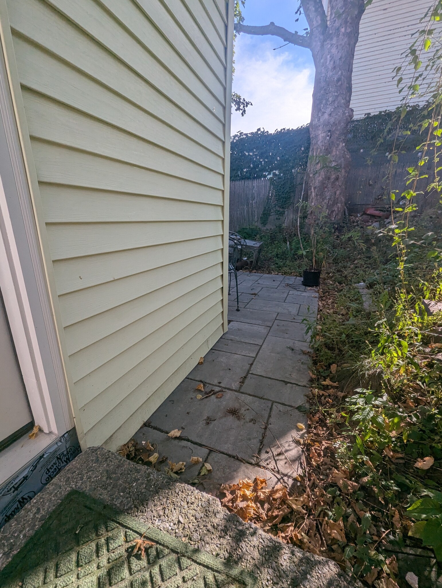 Patio - 34 Tyng St