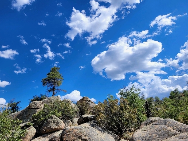 Building Photo - 1135 Boulder Park Ave