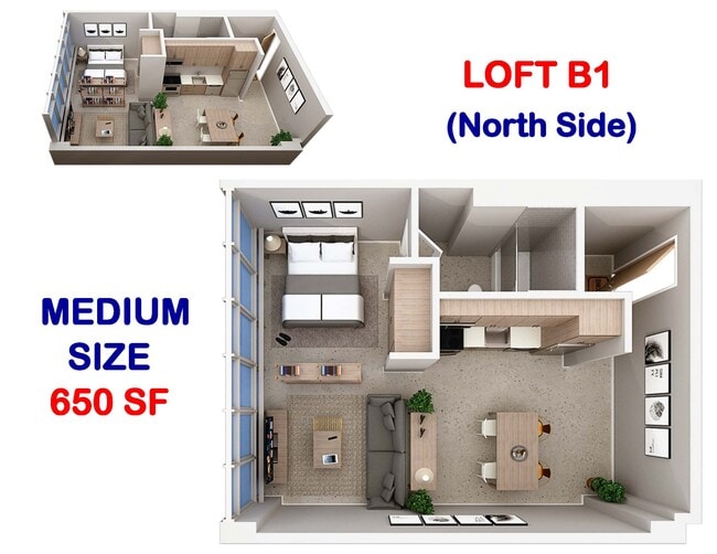 Loft B1 - 650 SF (North Side) - Panorama Tower