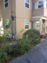 Building Photo - 330 Pasadena Ave