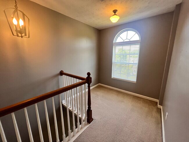 Building Photo - 5812 San Cristebal Ln