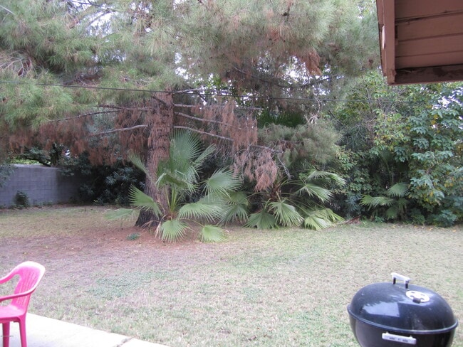 Building Photo - 1719 S El Camino Dr