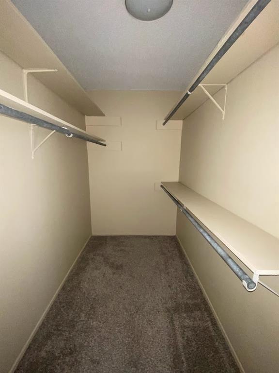 Building Photo - 910 Duncan Ln