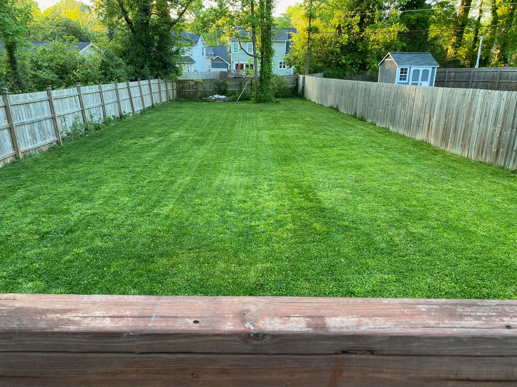 Building Photo - 1011 Everett Pl