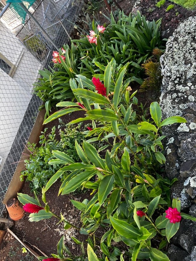 Building Photo - RMS100ach (REOM)