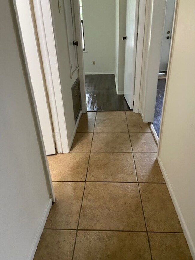Building Photo - Nature in the Heart of the City: Live Near Moncus Park-2 BED 1 BATH