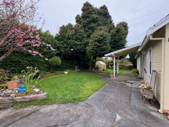 Building Photo - 4/2 Spacious house and yard, near services