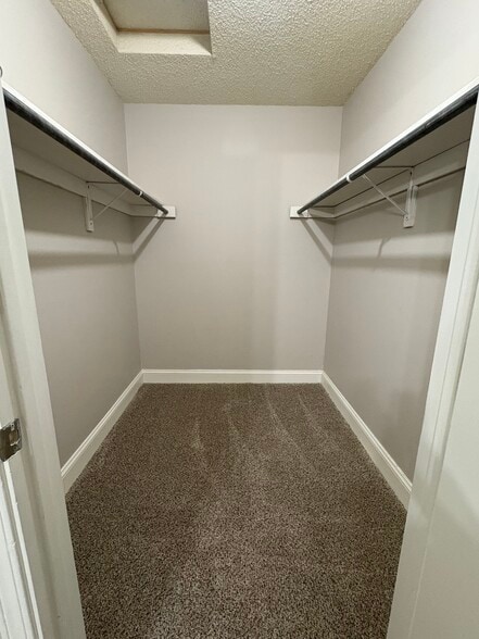 Building Photo - 824 Hardy Springs Cir