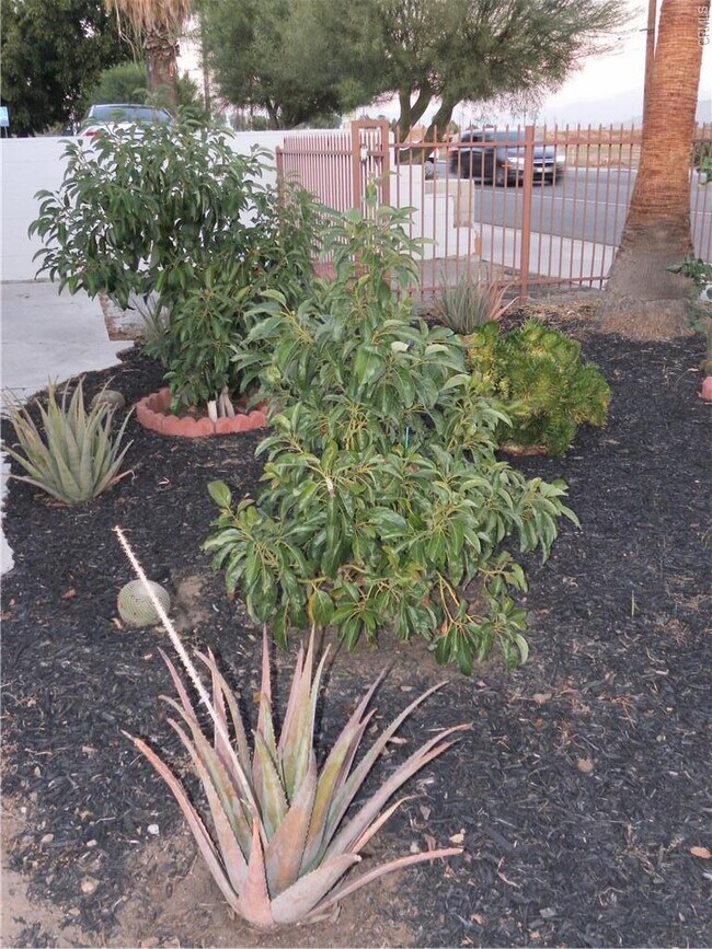 Building Photo - 3295 Rubidoux Blvd
