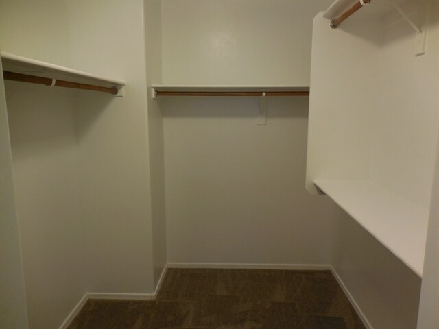 Building Photo - 1281 W Molinetto Dr