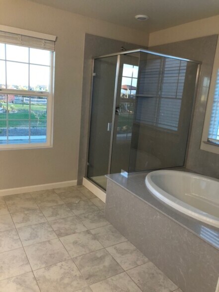 Master Bath - 2809 Mabry Dr