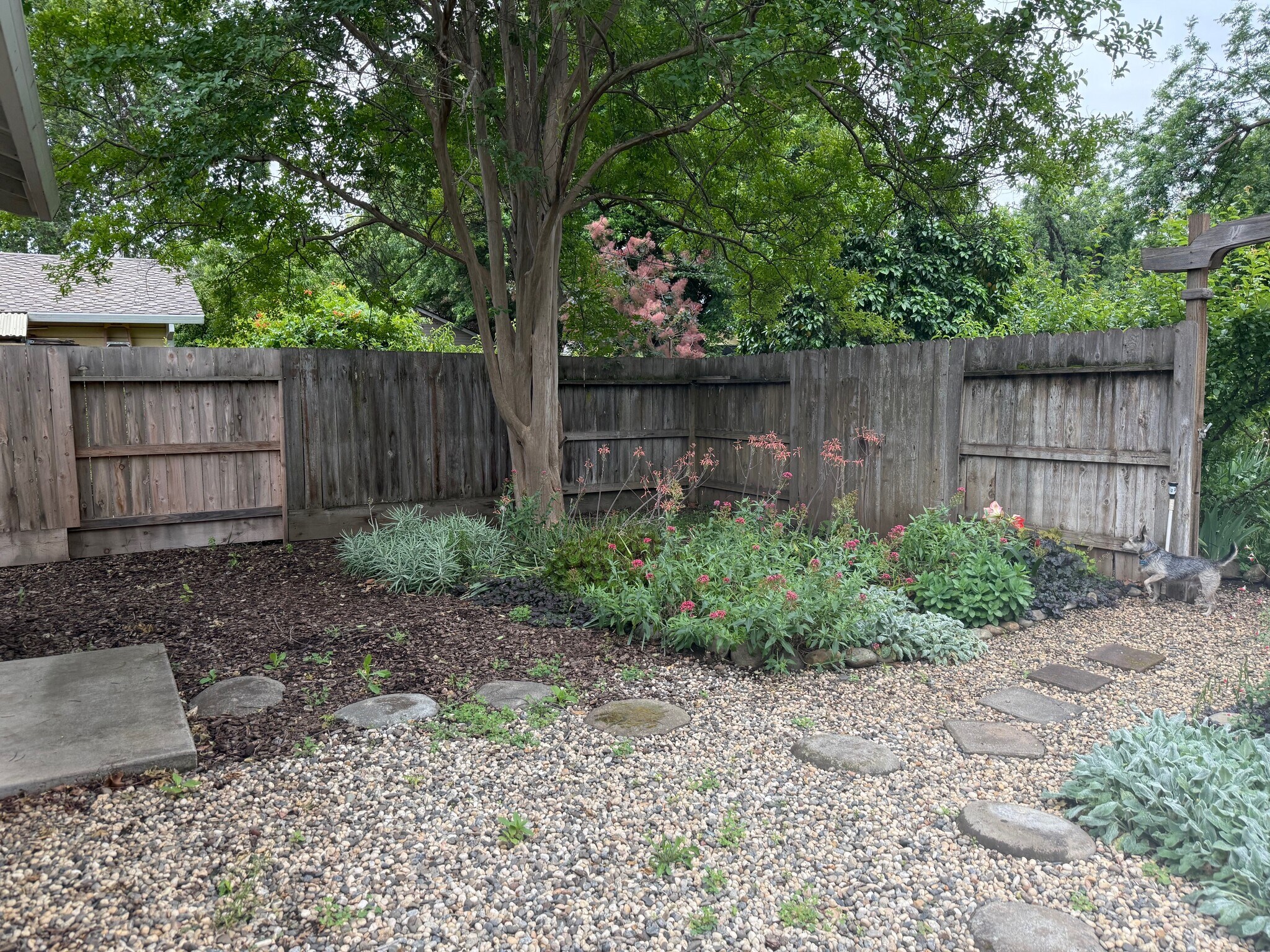 Building Photo - 1440 Laburnum Ave