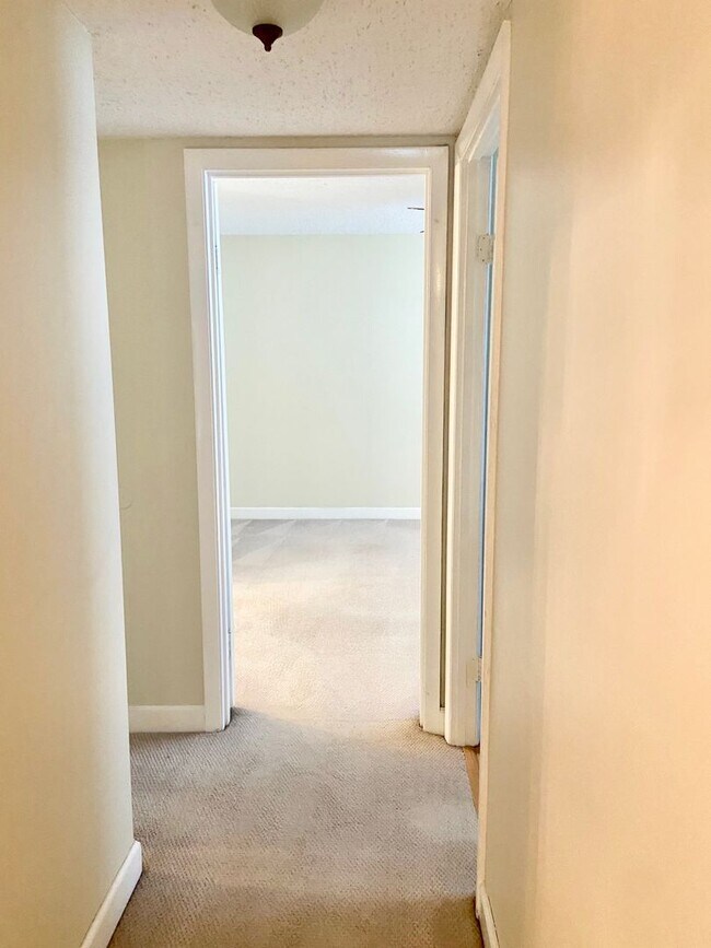 Building Photo - 2BD/1BA Condo in the Heart of Virginia Beach! Water Included!