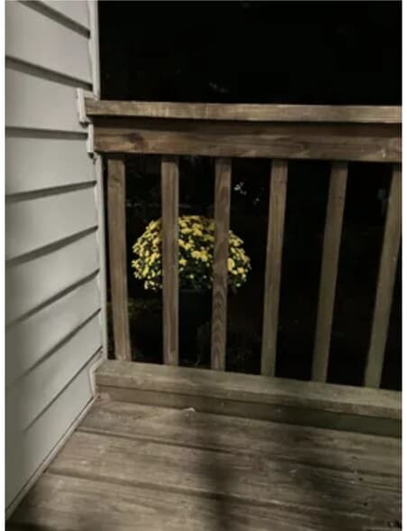 Building Photo - 23 Shirley St