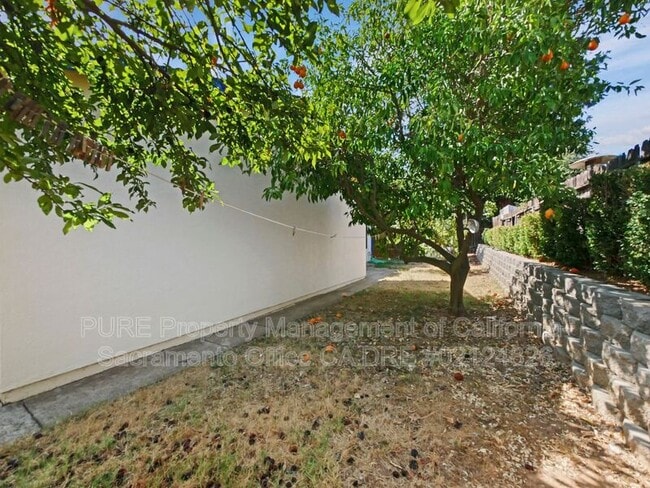 Building Photo - 3308 Chiswell Way