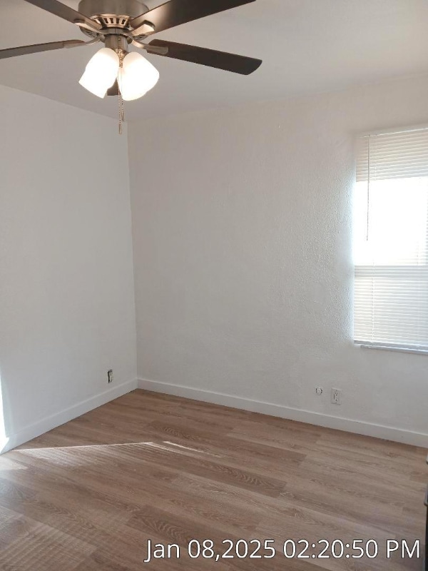 Building Photo - 800 Paradise Dr