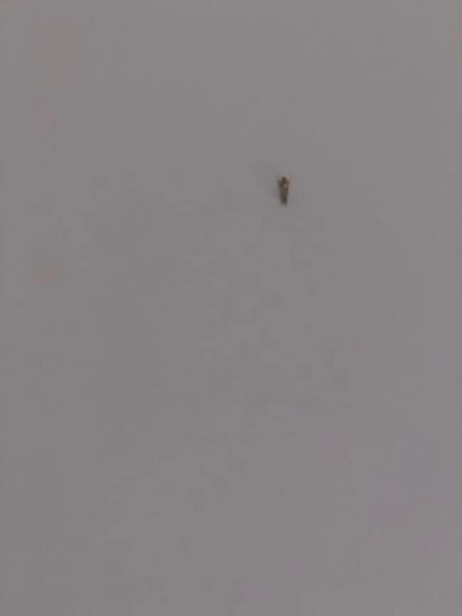 Building Photo - East Village 13th floor condo with panoramic views