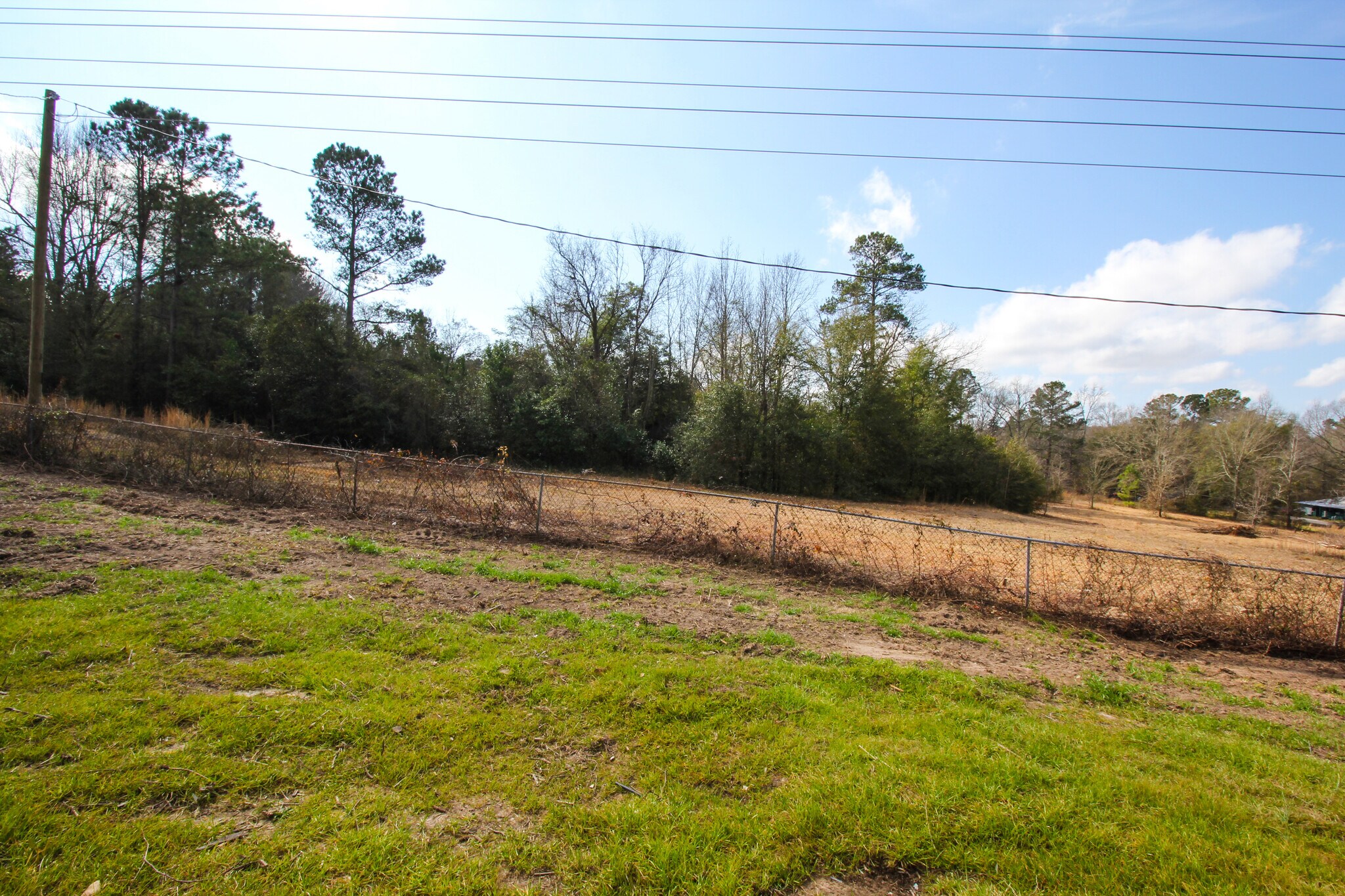 backyard - 703 Celeste Ave