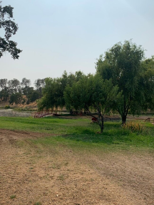 Building Photo - Butte Valley 3 bed 2 bath home, Privacy, n...