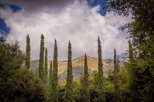 Building Photo - Ojai hideaway!