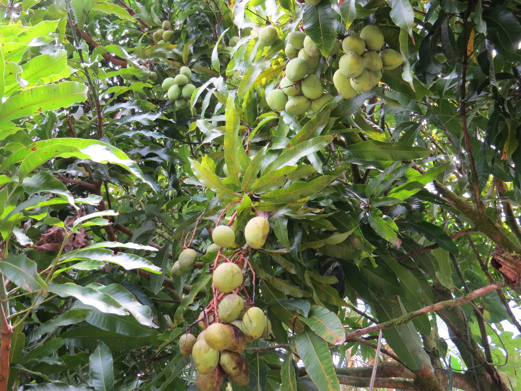 Building Photo - 15-1414 24th Ave