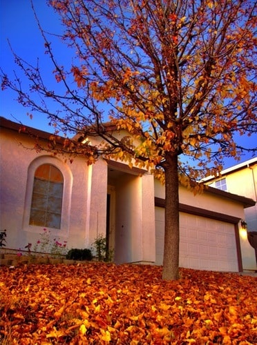 Primary Photo - 111 Lembi Dr