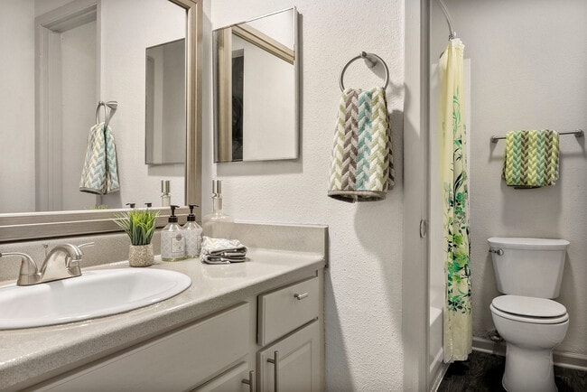 Building Photo - The Enclave at Bear Creek