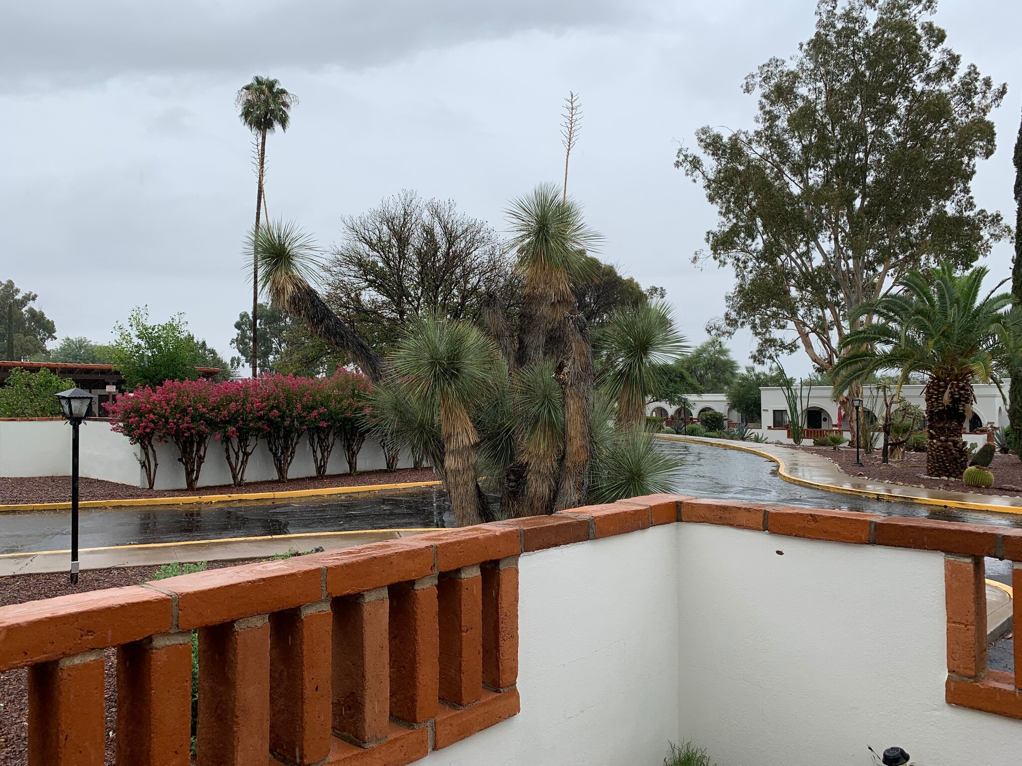 Building Photo - 436 S Paseo Cerro