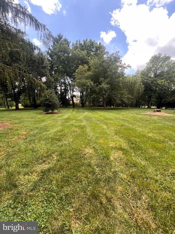 Building Photo - 245 Treeline Dr