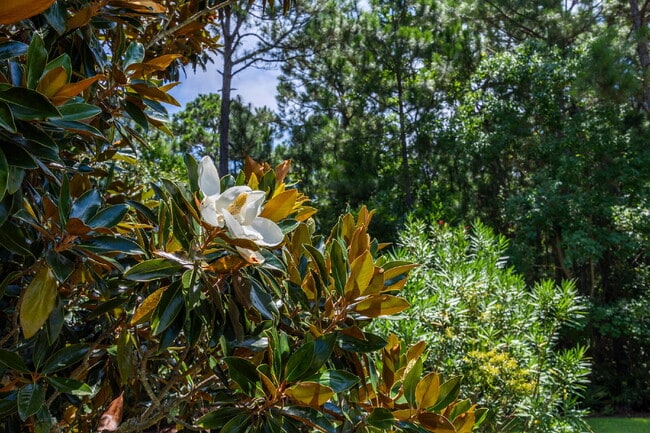 Building Photo - "Coastal Elegance Awaits: Spacious 4-Bed Oasis with Granite Touches on Shipwreck Road"