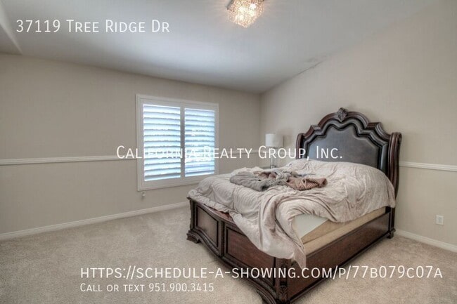 Building Photo - 37119 Tree Ridge Dr