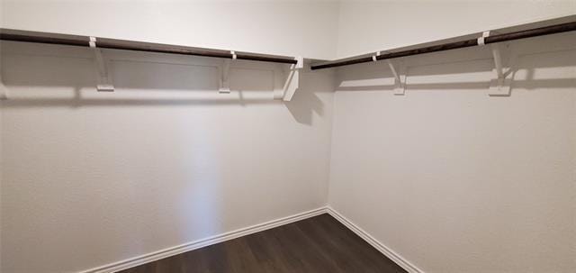 Building Photo - 2125 Basil Ave