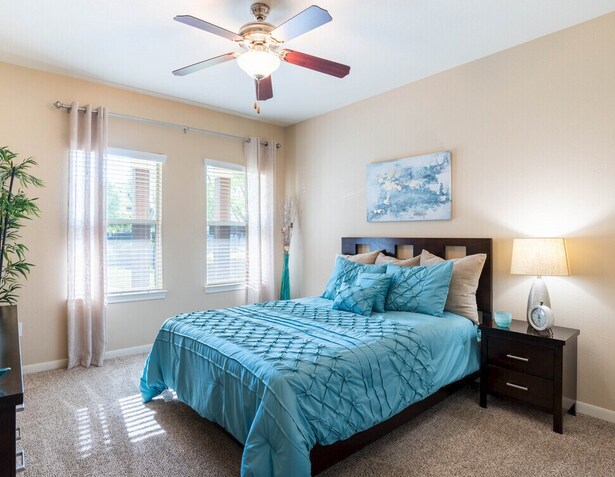 Building Photo - 2007 S Mason Rd