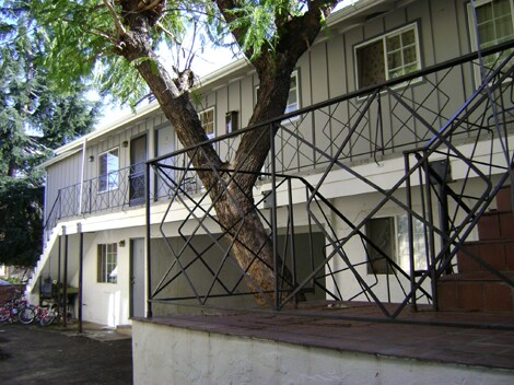 Building Photo - 256 Mountain View Ave