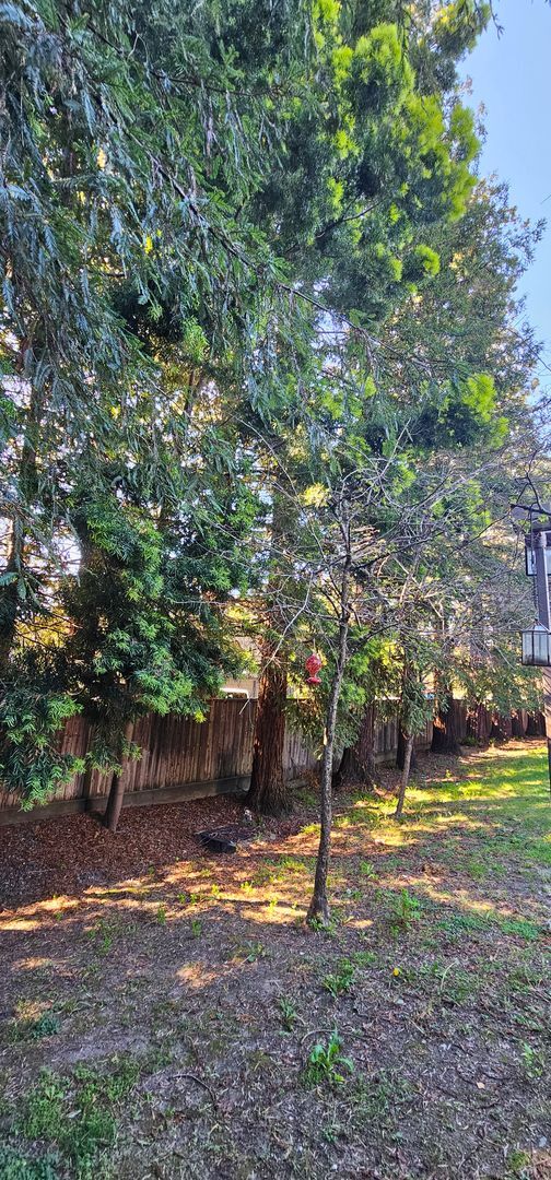 Building Photo - **Centrally Located in Santa Rosa!!**