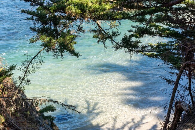 Building Photo - Bonnie's Point | Home Next to Point Lobos State Natural Reserve