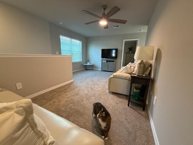 Building Photo - 3919 Radiant Mountain Dr