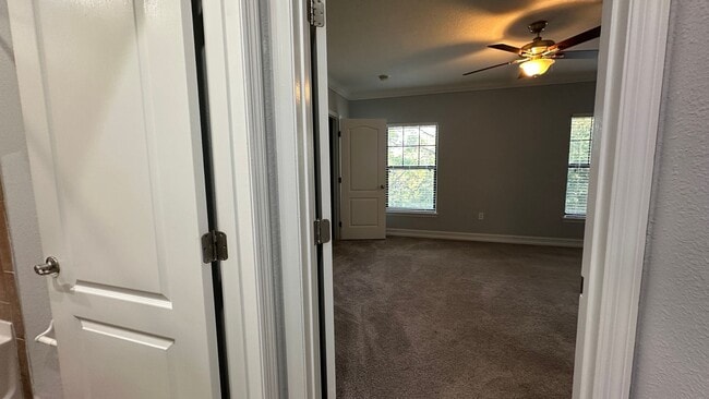 Building Photo - 3720 Messina Dr