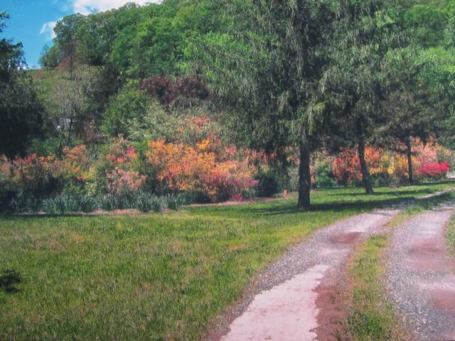 Building Photo - $1,600 - 2 Bed / 1.5 Bath House on Caney Fork with Stunning Landscaped Gardens