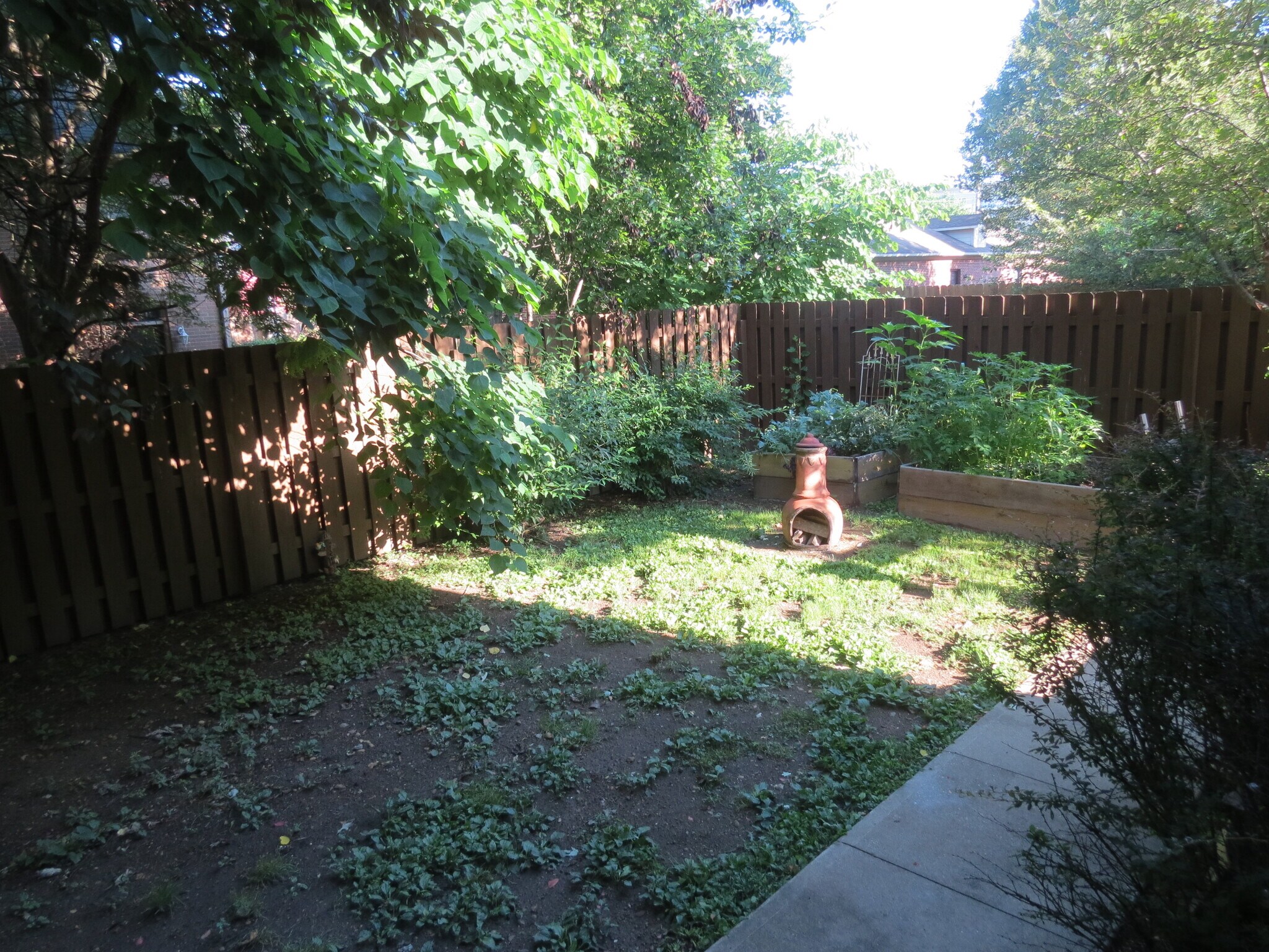 Backyard - 1532 N College Ave