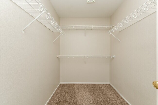 Building Photo - 4268 Perfect Drift St