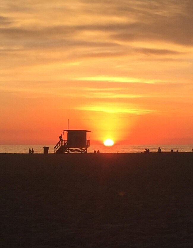 Building Photo - 1105 Palms Blvd