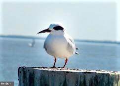 Building Photo - 421 Concord St