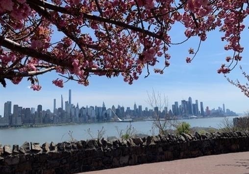 Building Photo - 6515 BOULEVARD