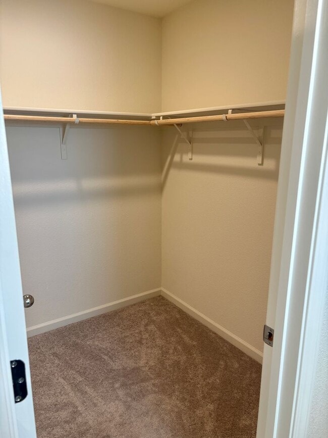 Building Photo - Stunning Natomas 4/2.5.  Backyard is AMAZING!  Please read ad for viewings!