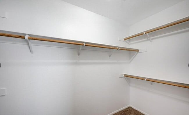 Building Photo - 1013 Brinkman St