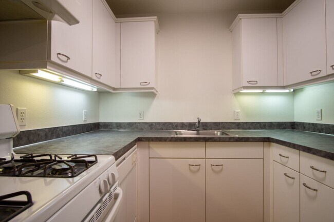 Building Photo - Spacious & Bright Modern Studio w/Fireplace, W/D & Patio