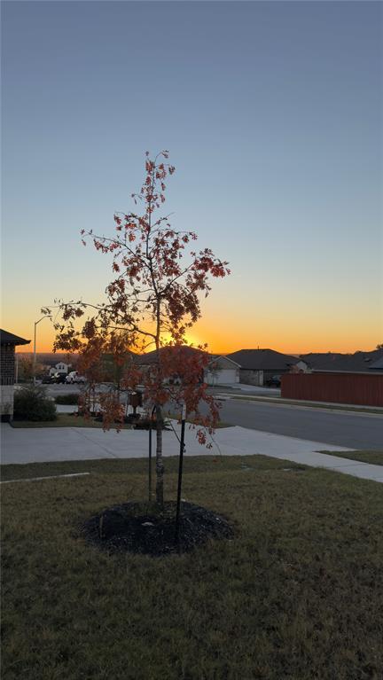 Building Photo - 2512 Hackamore Dr